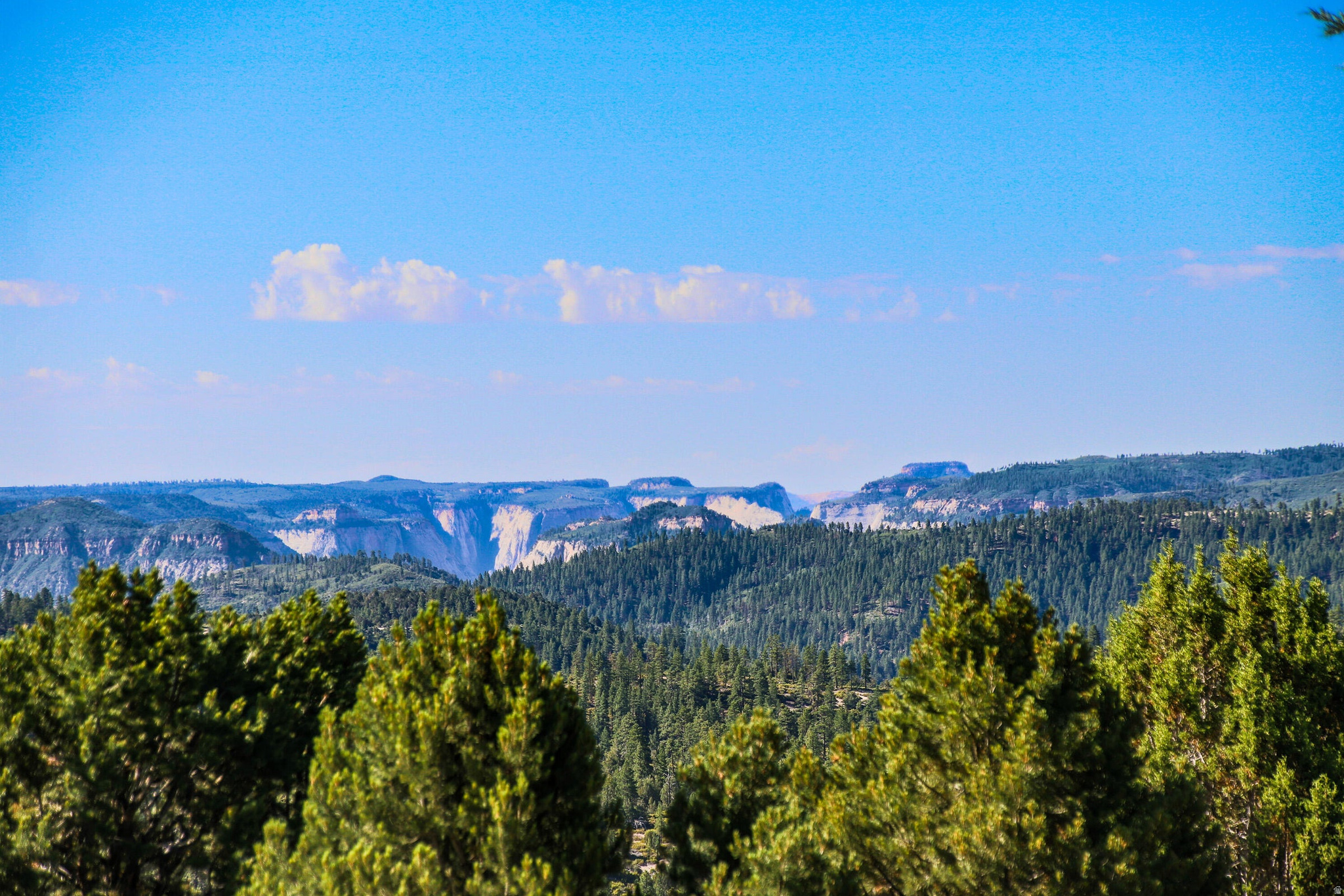 ZION PANORAMA 4 - Land