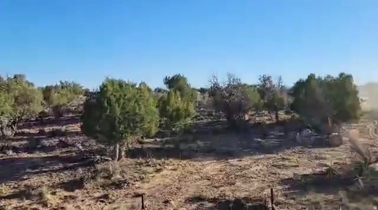 STARVIEW RANCHES - Land