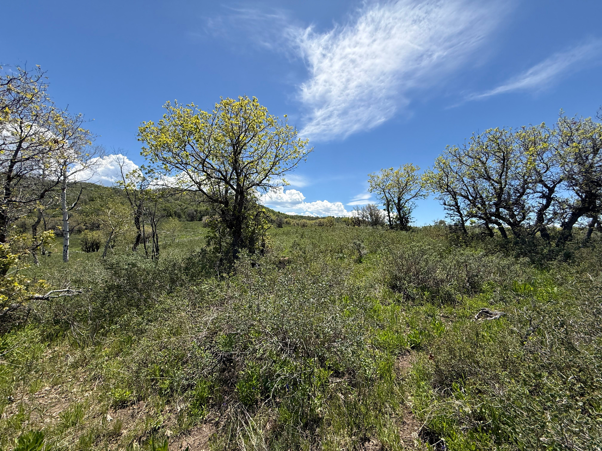 GRASSCREEK RANCHES - Land
