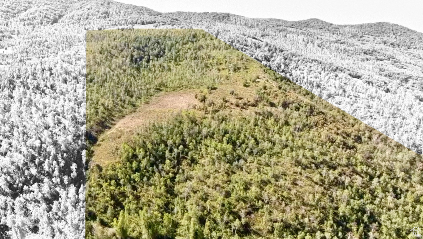 GRASSCREEK RANCHES - Land