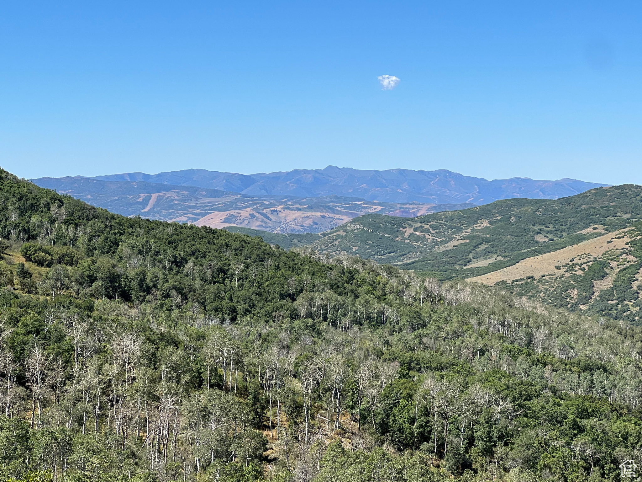 GRASSCREEK RANCHES - Land