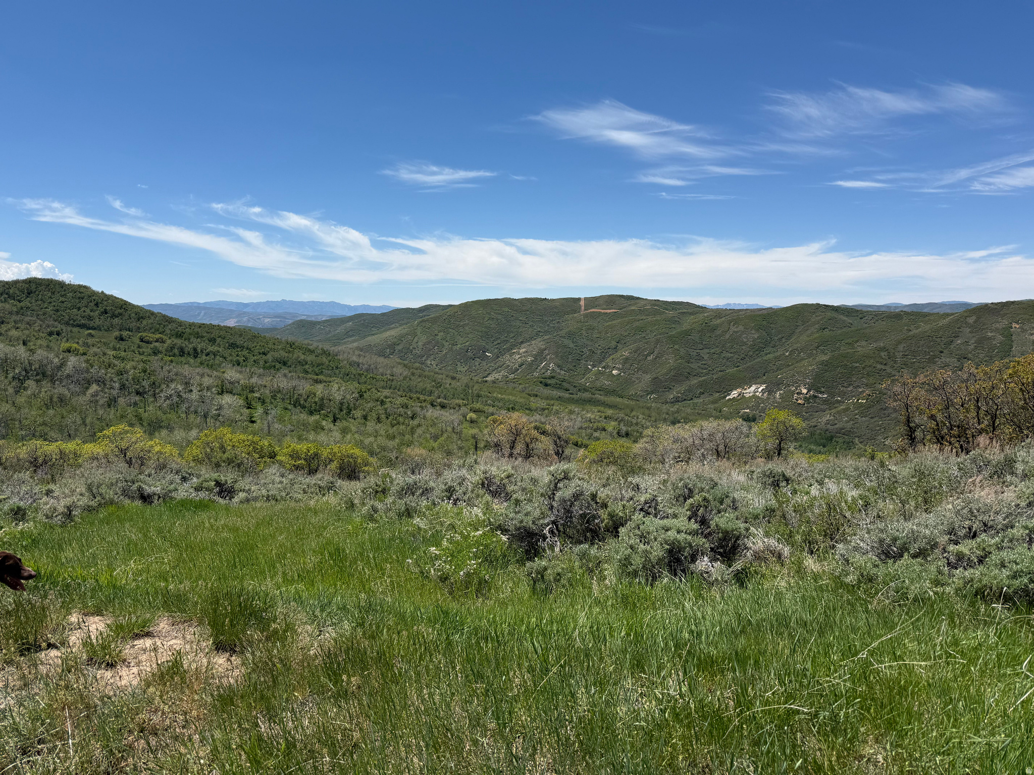 GRASSCREEK RANCHES - Land