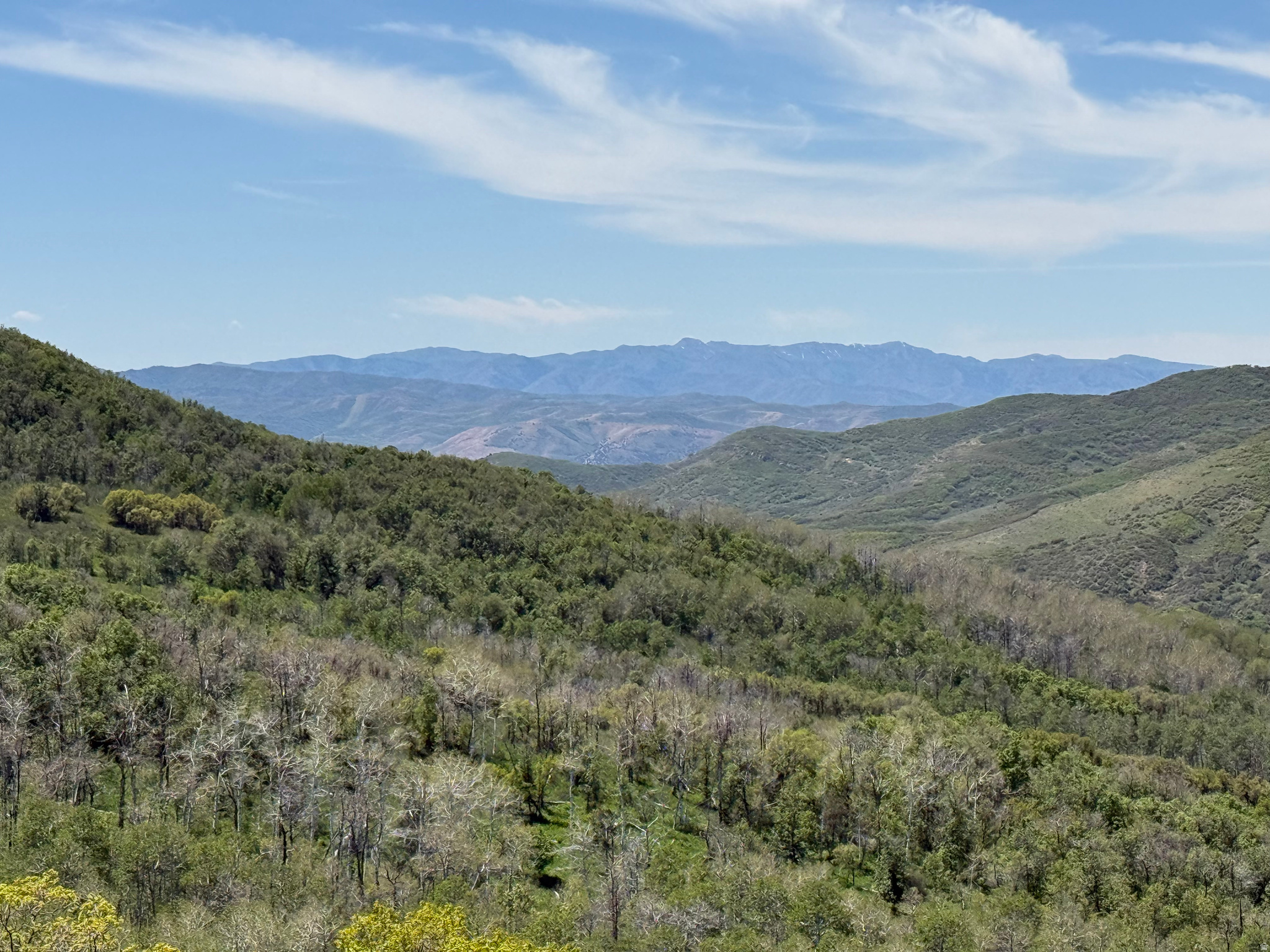 GRASSCREEK RANCHES - Land