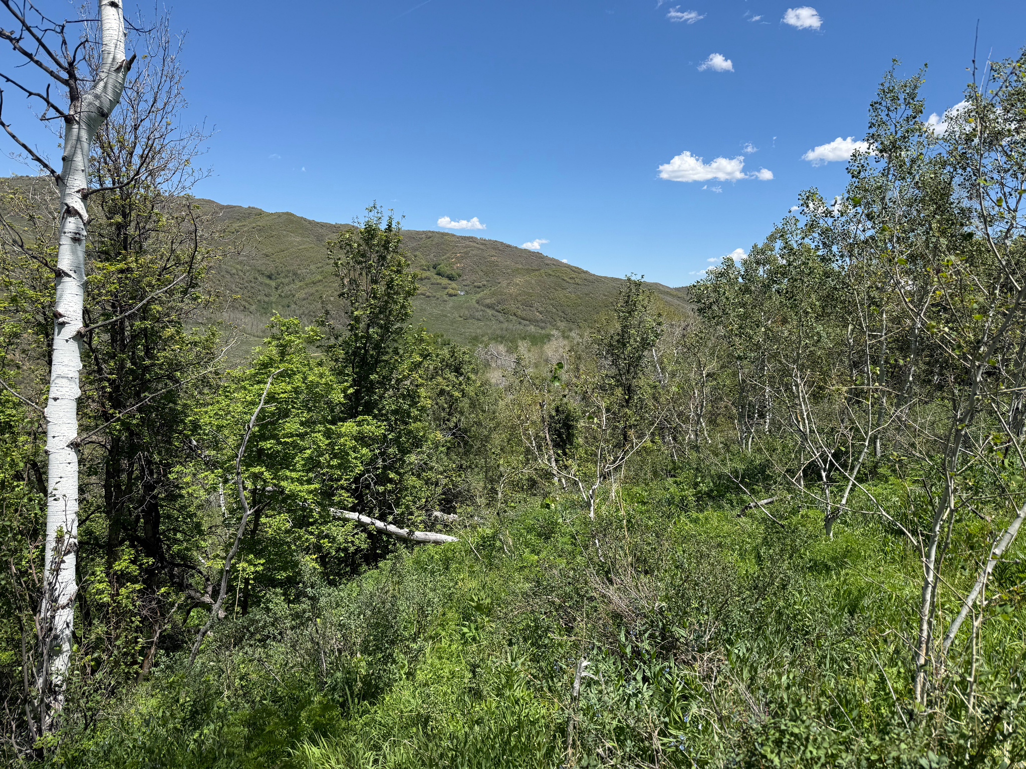 GRASSCREEK RANCHES - Land