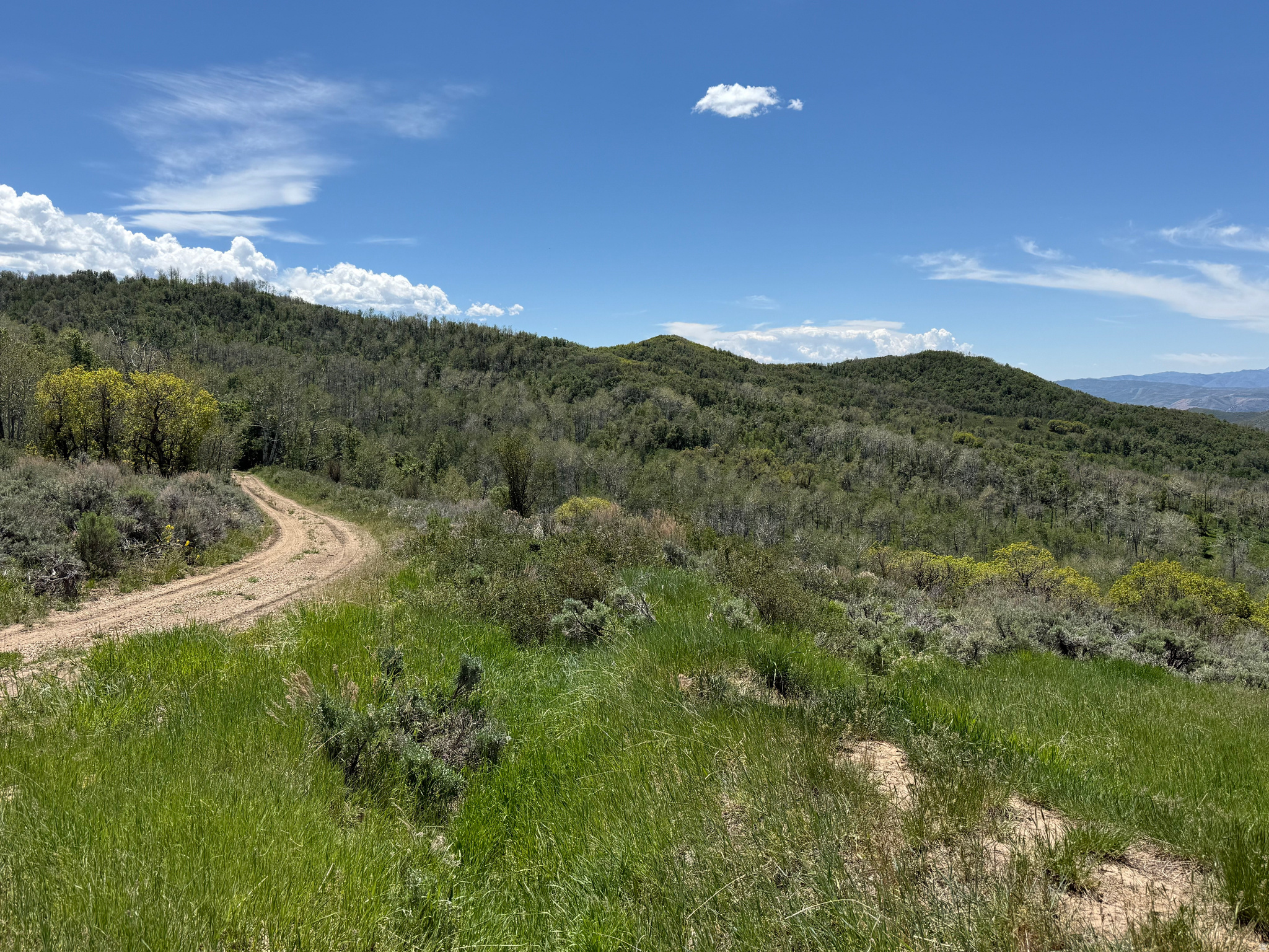 GRASSCREEK RANCHES - Land