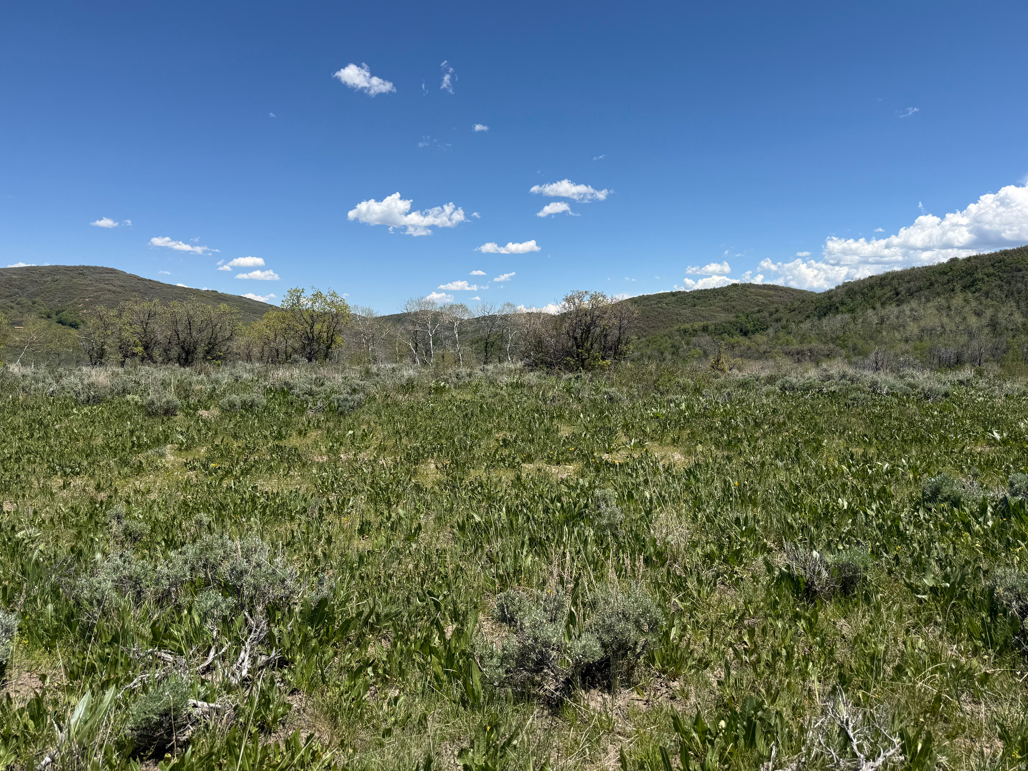 Discover a rare opportunity with Lot No. 18 in the mountainous Grasscreek Ranches! This 24-acre private retreat is perfect for building your dream eco-cabin or creating an off-grid getaway. One of the best lots in the area, its location and comparative height offer excellent views. Grass Creek runs through the north side of the property. Grasscreek Ranches is adjacent to Ercanbrack Ranch, a 2,161 acre parcel forever protected by the Summit Land Conservancy, dedicated to preserving land on the Wasatch Back. And, it is adjacent to over 800 acres of ranch land. While utilities aren't on-site, neighboring properties have successfully installed wells (perc test attached), solar power, and septic systems, making self-sufficiency easy. The property is also ideal for parking a trailer and enjoying gatherings with family and friends on your own land. With snowmobile access during winter, this secluded location offers vast views, serene isolation, and peace-just an hour away from Salt Lake City. A true gem for those seeking the privacy and adventure of a natural setting, with excellent investment potential! Parcel outlines for illustrative purposes only. Buyer to verify parcel boundaries.