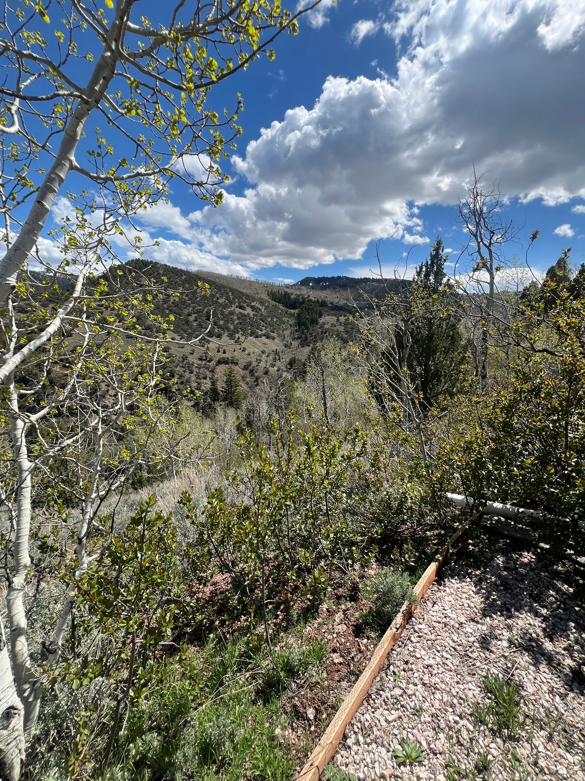 HARDWARE PARK MOUNTAIN ESTATES - Residential