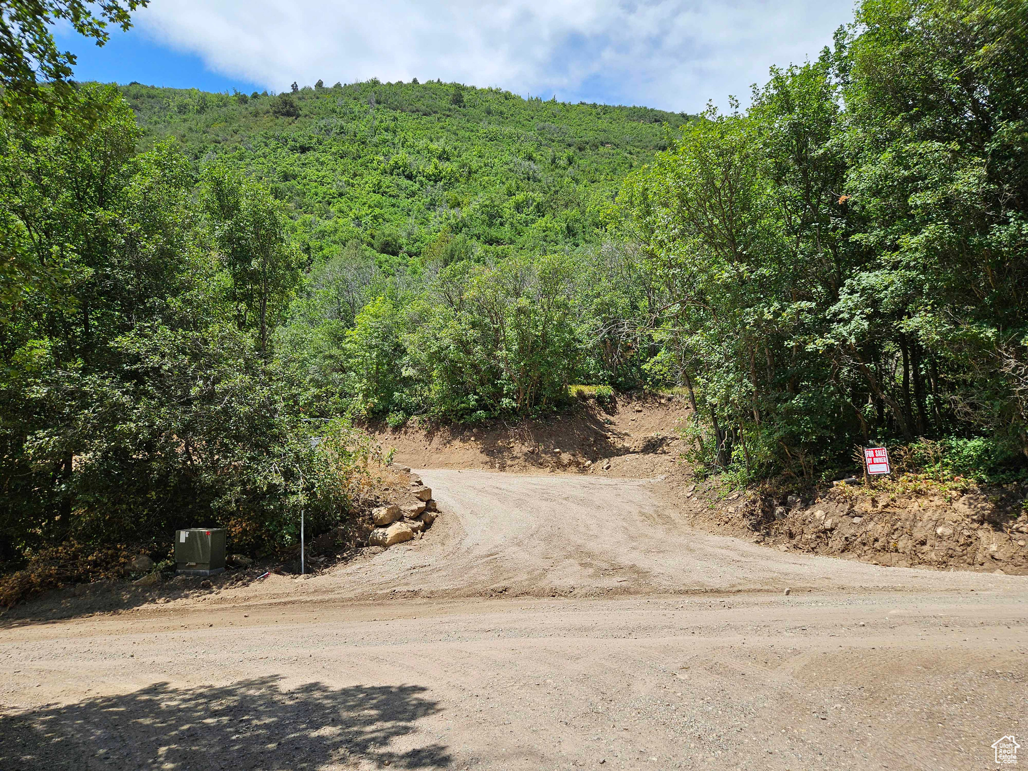 SKYLINE MTN RESORT - Land