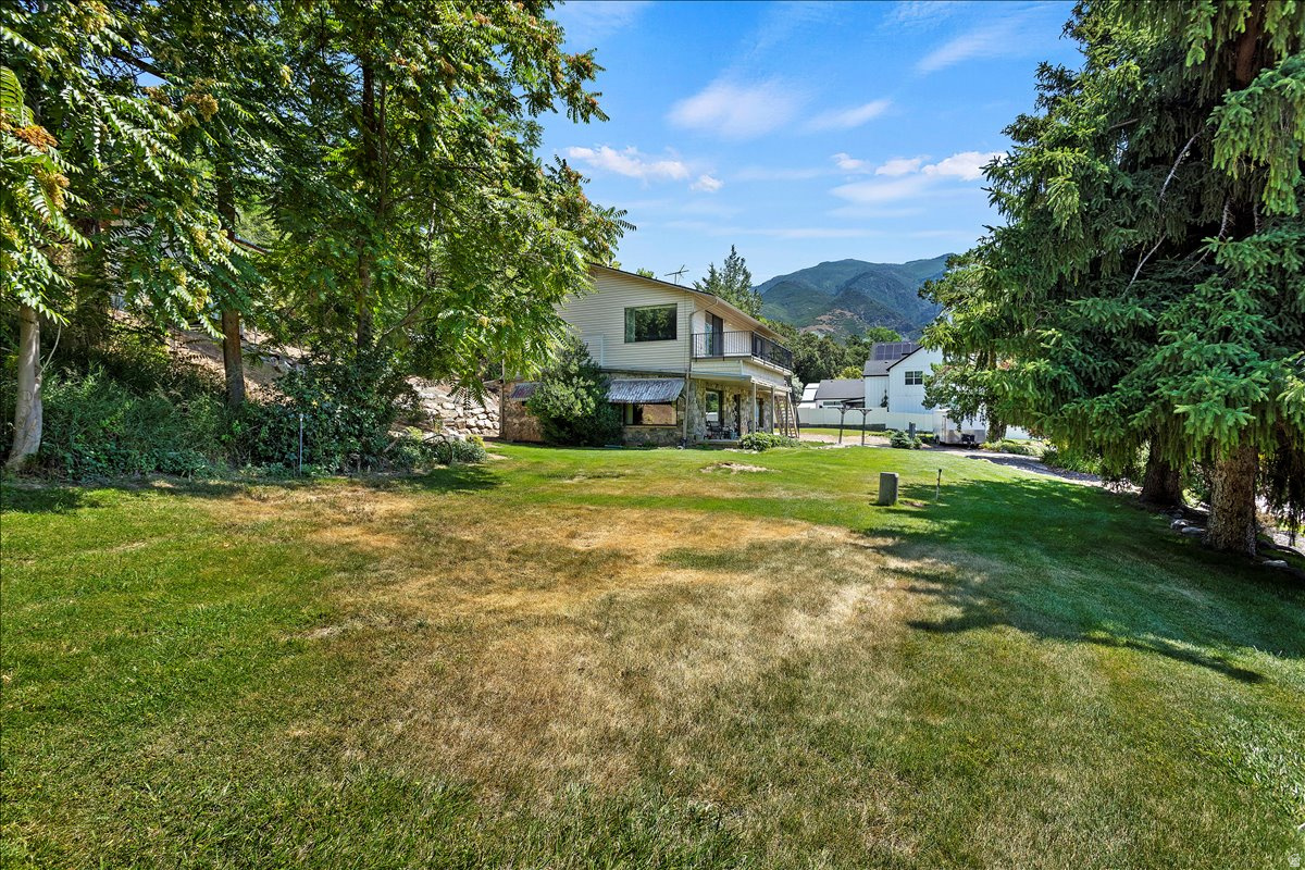 DAWSON HOLLOW ESTATES - Residential
