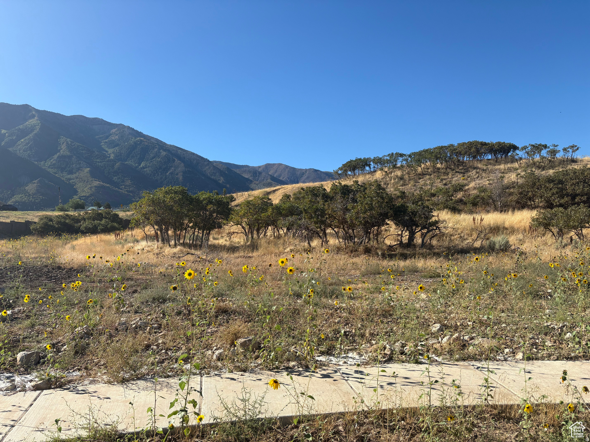 This is our largest lot in the subdivision and the price includes a $40k concrete wall all along the east side of the lot.  The lot is located at the end of a quiet cul de sac and offers a view of the valley as well as Loafer Mountain.  All utilities are stubbed in and ready for building permits.  You can bring your own builder or we would be happy to recommend a quality custom builder if desired.
