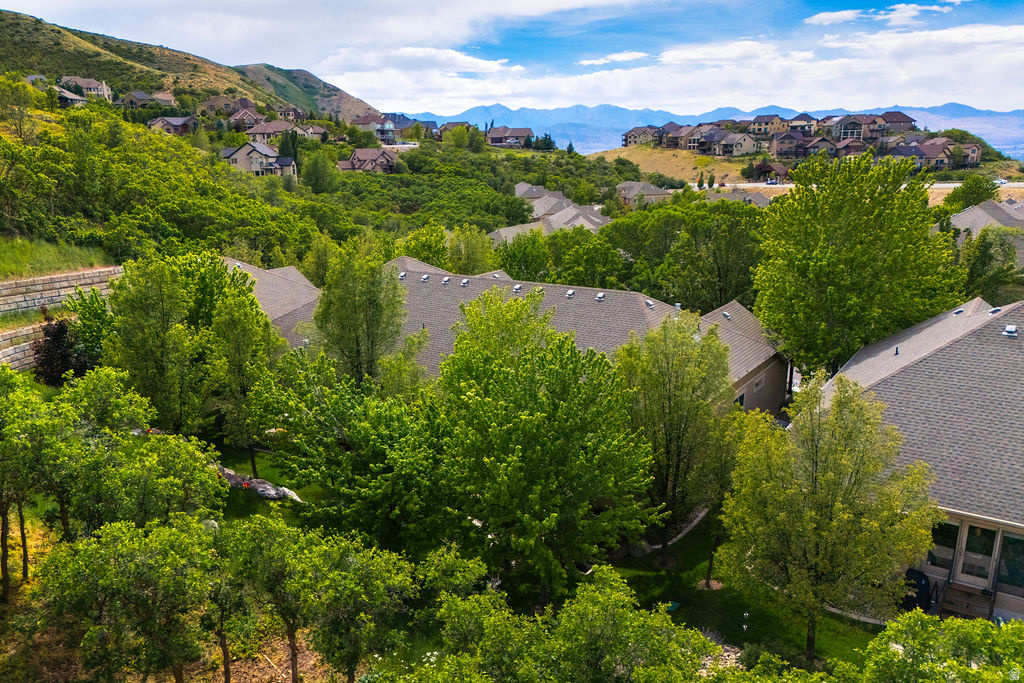 LITTLE VALLEY CONDO - Residential