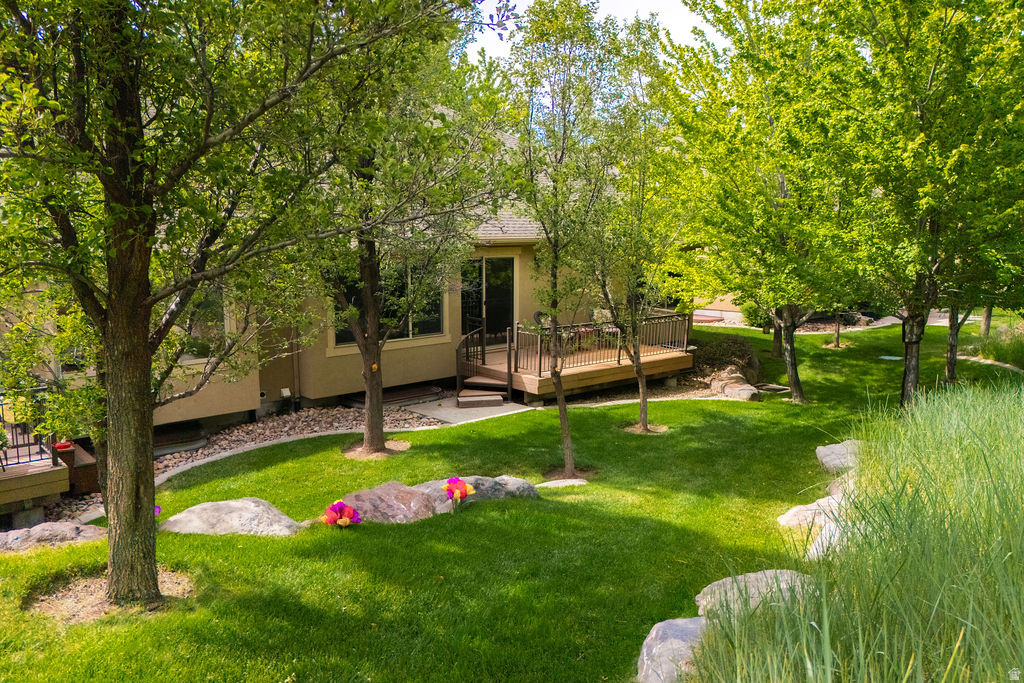 LITTLE VALLEY CONDO - Residential