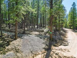 MAMMOTH CREEK SUB/MAMMOTH CREEK RANCHETTES - Residential