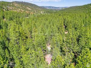 MAMMOTH CREEK SUB/MAMMOTH CREEK RANCHETTES - Residential