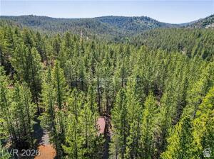 MAMMOTH CREEK SUB/MAMMOTH CREEK RANCHETTES - Residential