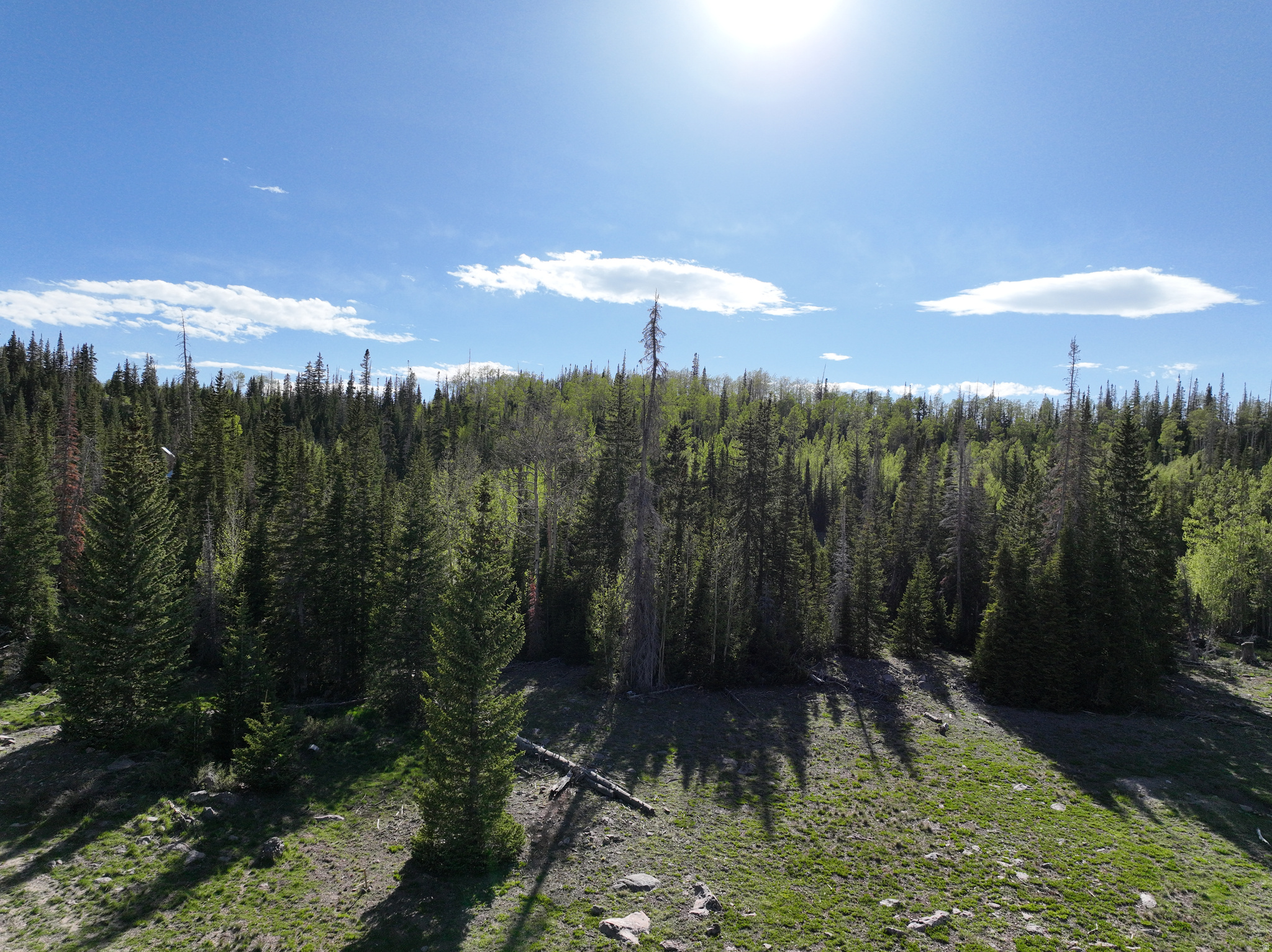 CEDAR VREAKS MOUNTAIN HOMESITES - Land