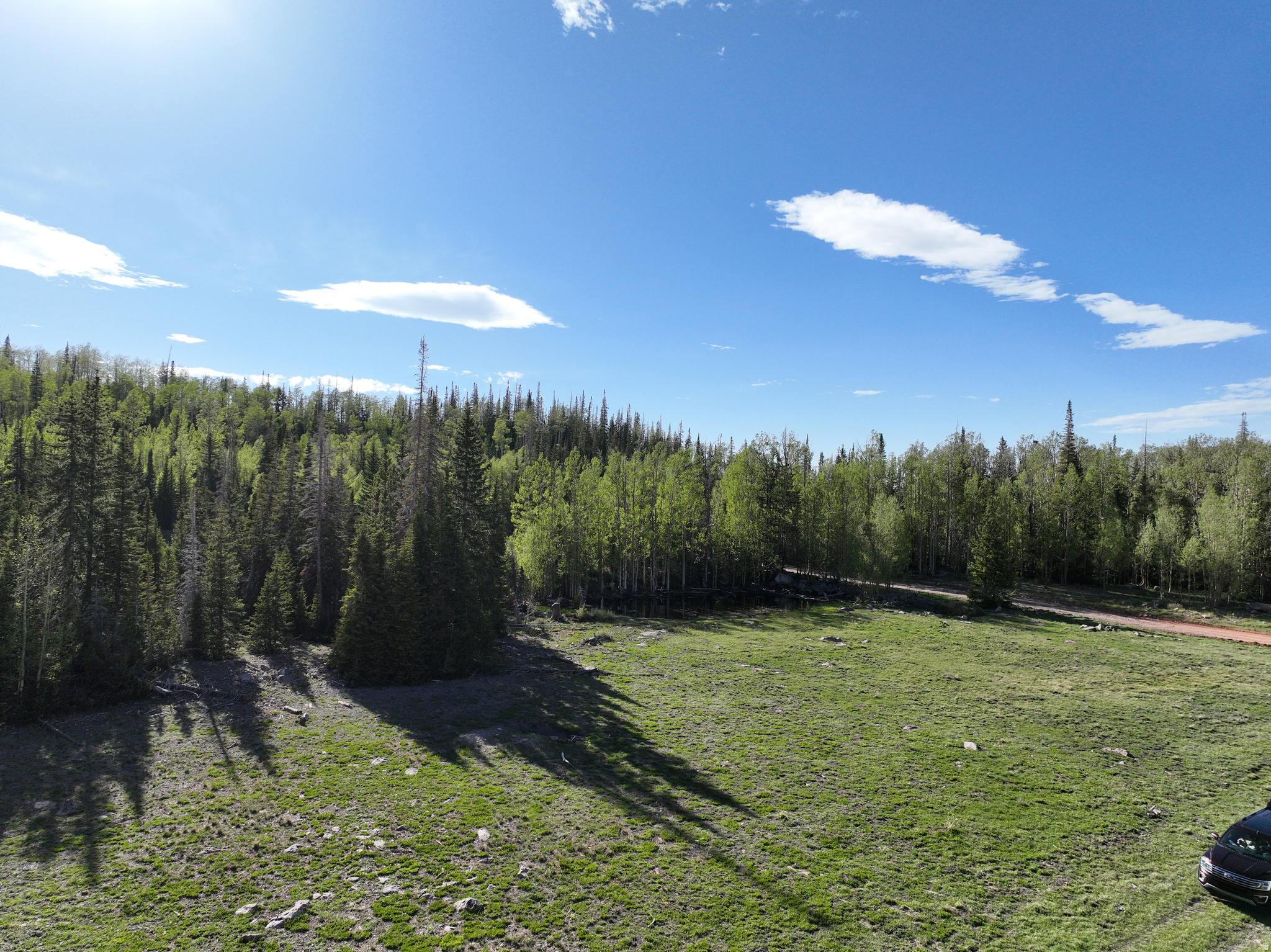 CEDAR VREAKS MOUNTAIN HOMESITES - Land