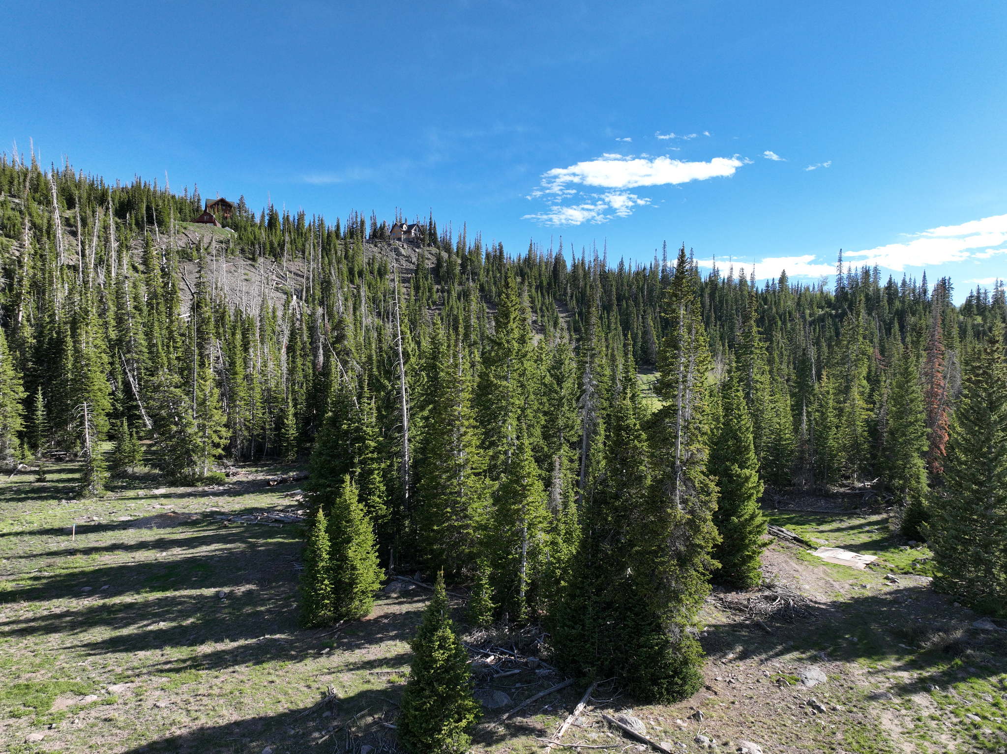 CEDAR VREAKS MOUNTAIN HOMESITES - Land
