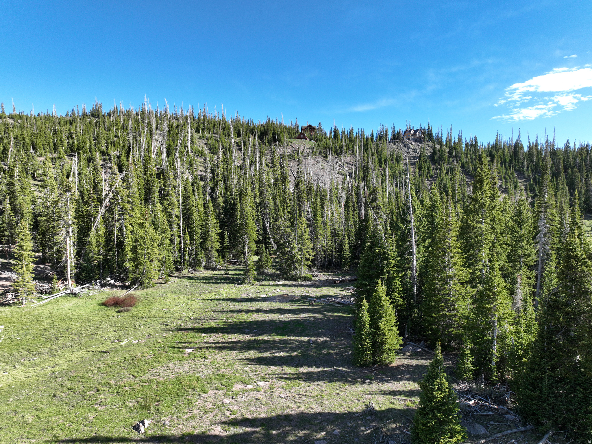 CEDAR VREAKS MOUNTAIN HOMESITES - Land