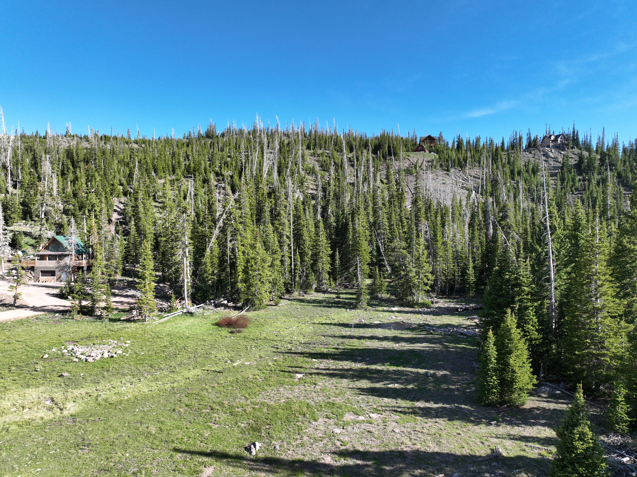 CEDAR VREAKS MOUNTAIN HOMESITES - Land