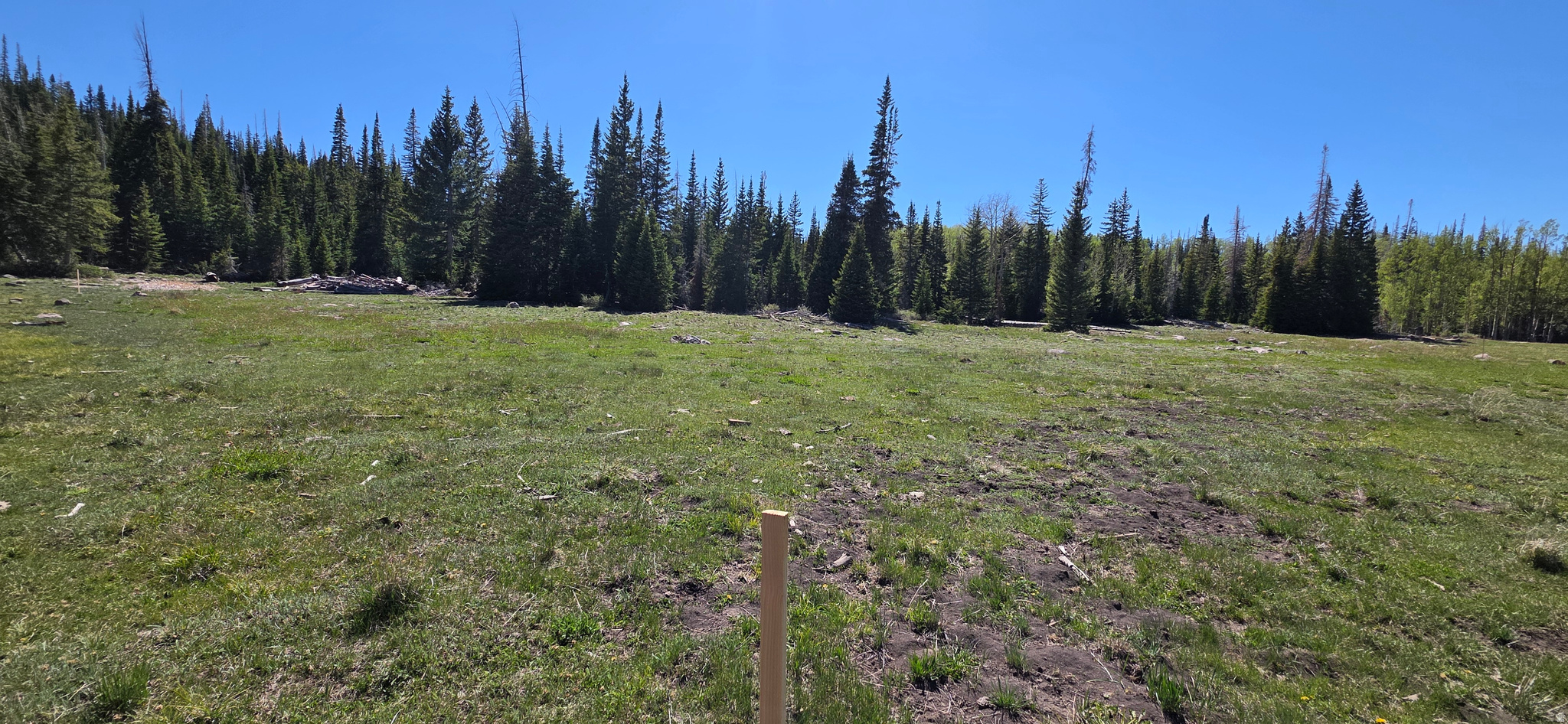 CEDAR VREAKS MOUNTAIN HOMESITES - Land