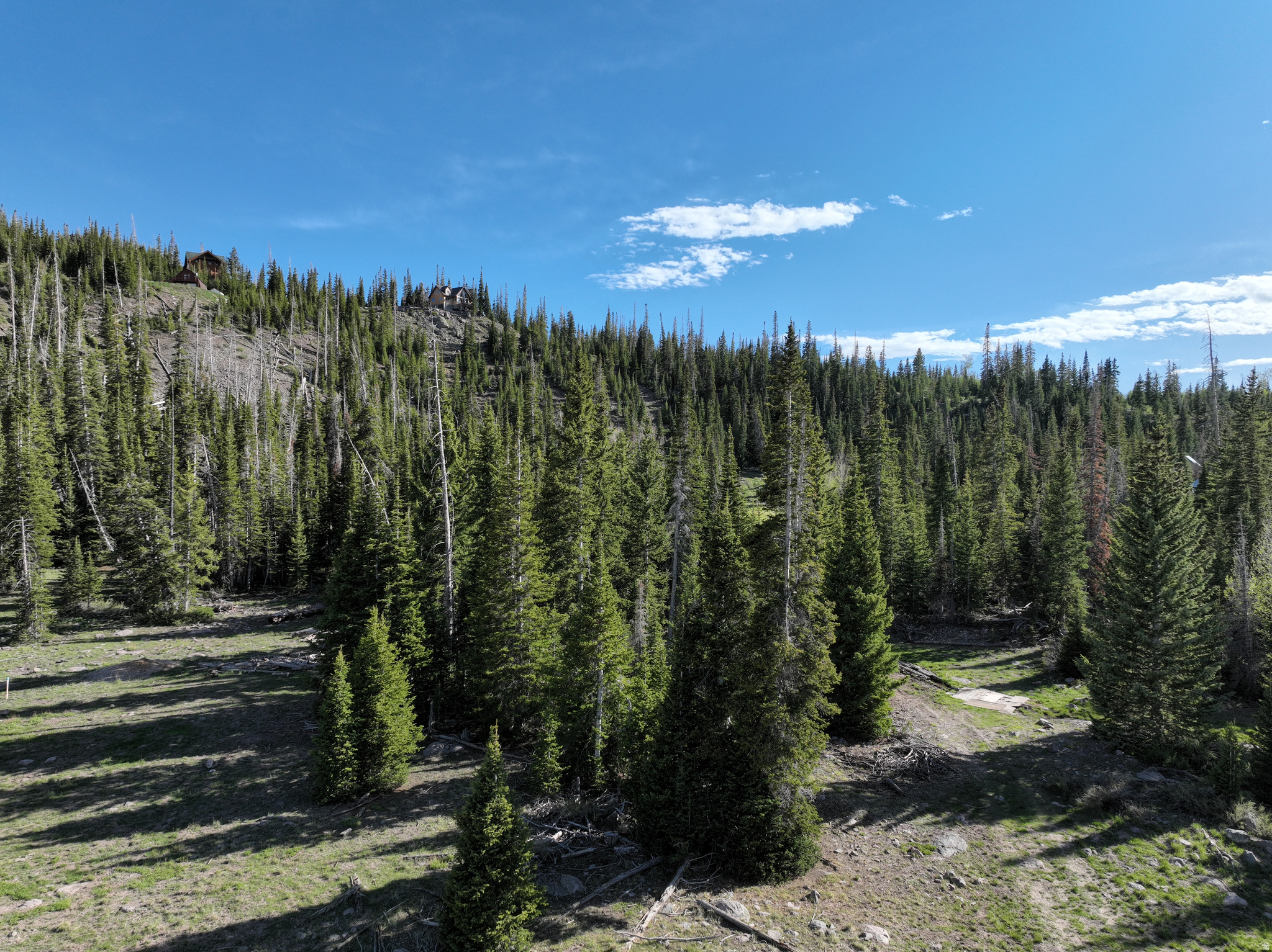 CEDAR VREAKS MOUNTAIN HOMESITES - Land