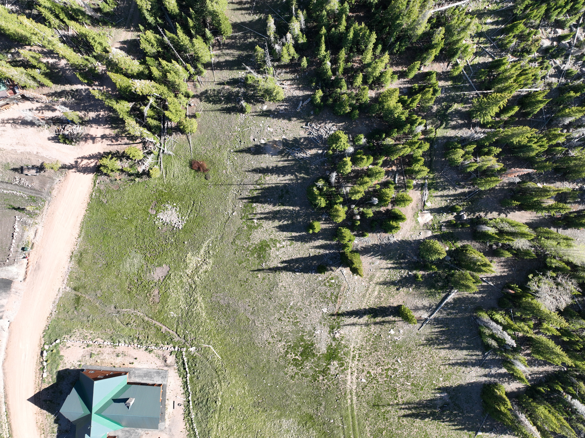 CEDAR VREAKS MOUNTAIN HOMESITES - Land