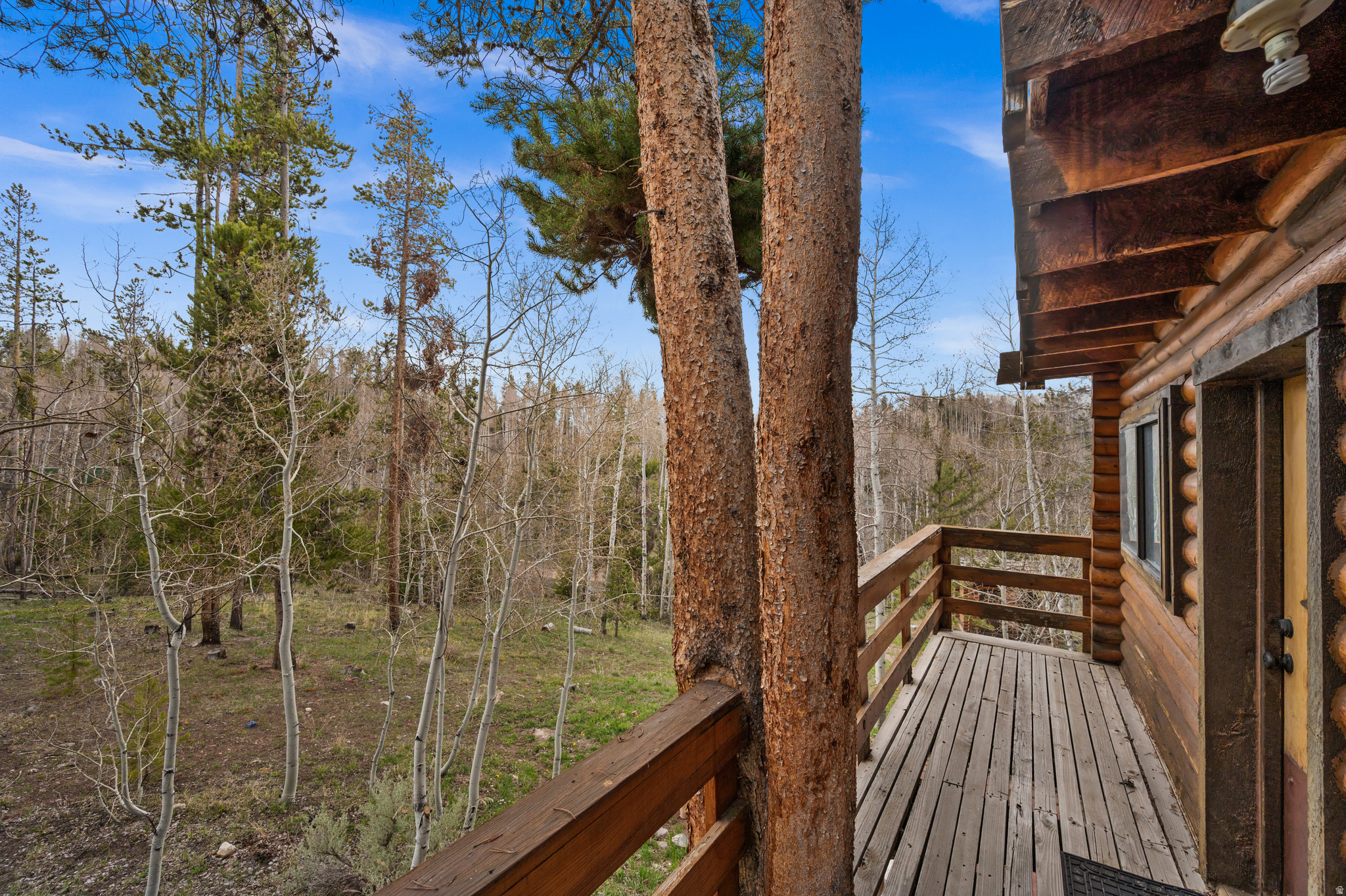 WILDERNESS ACRES - Residential