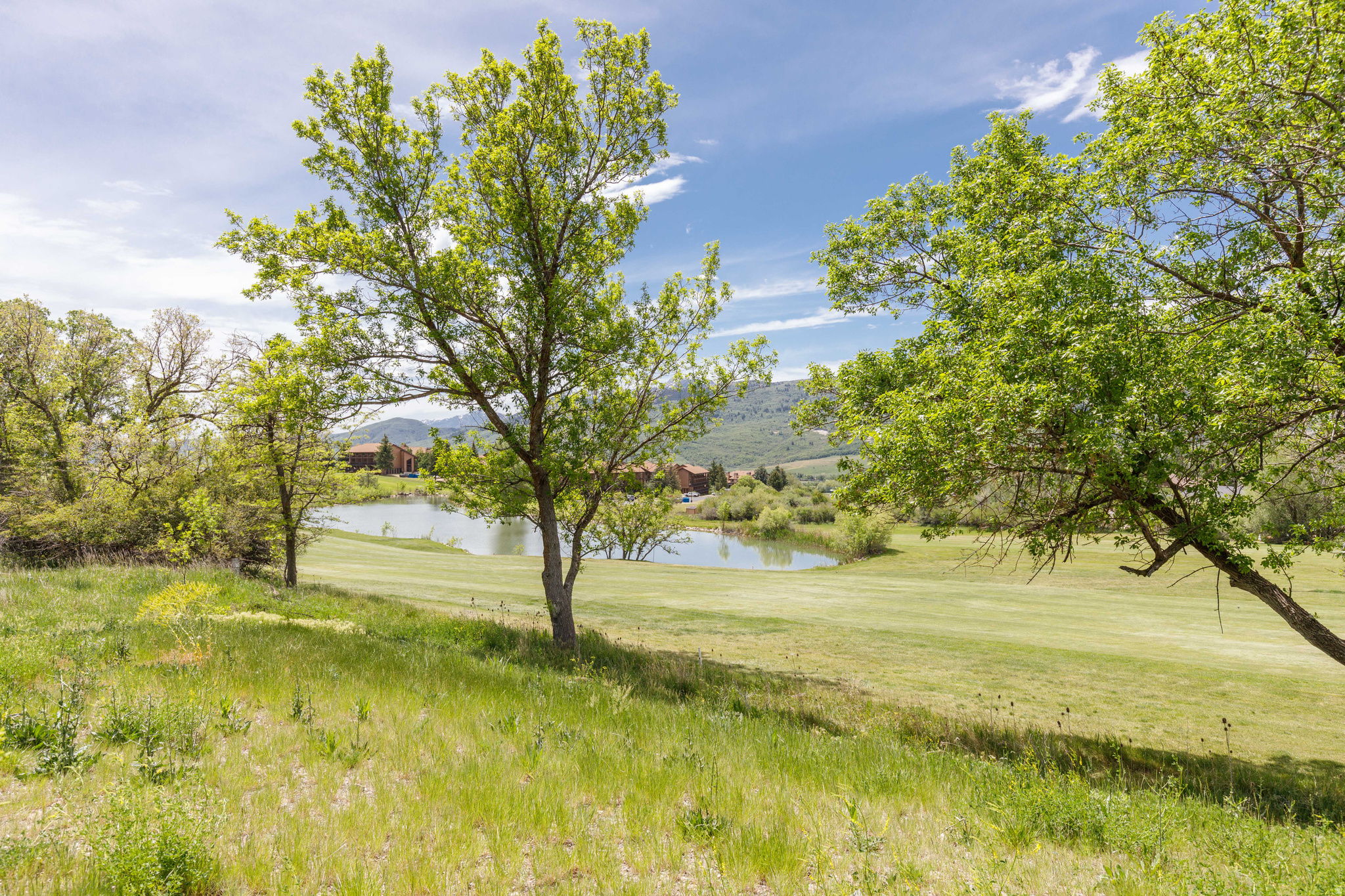 THE POINTE AT WOLF CREEK - Residential