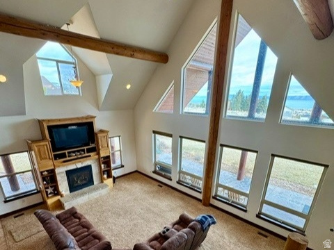 OMEGA SUB - Residential