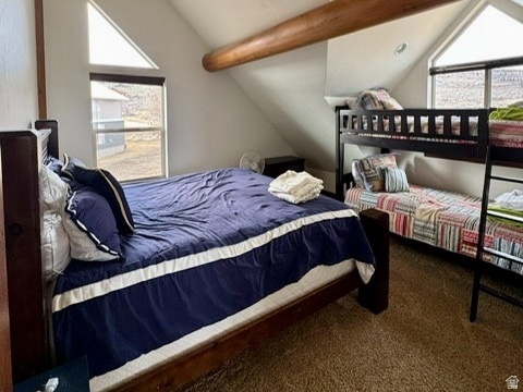 OMEGA SUB - Residential