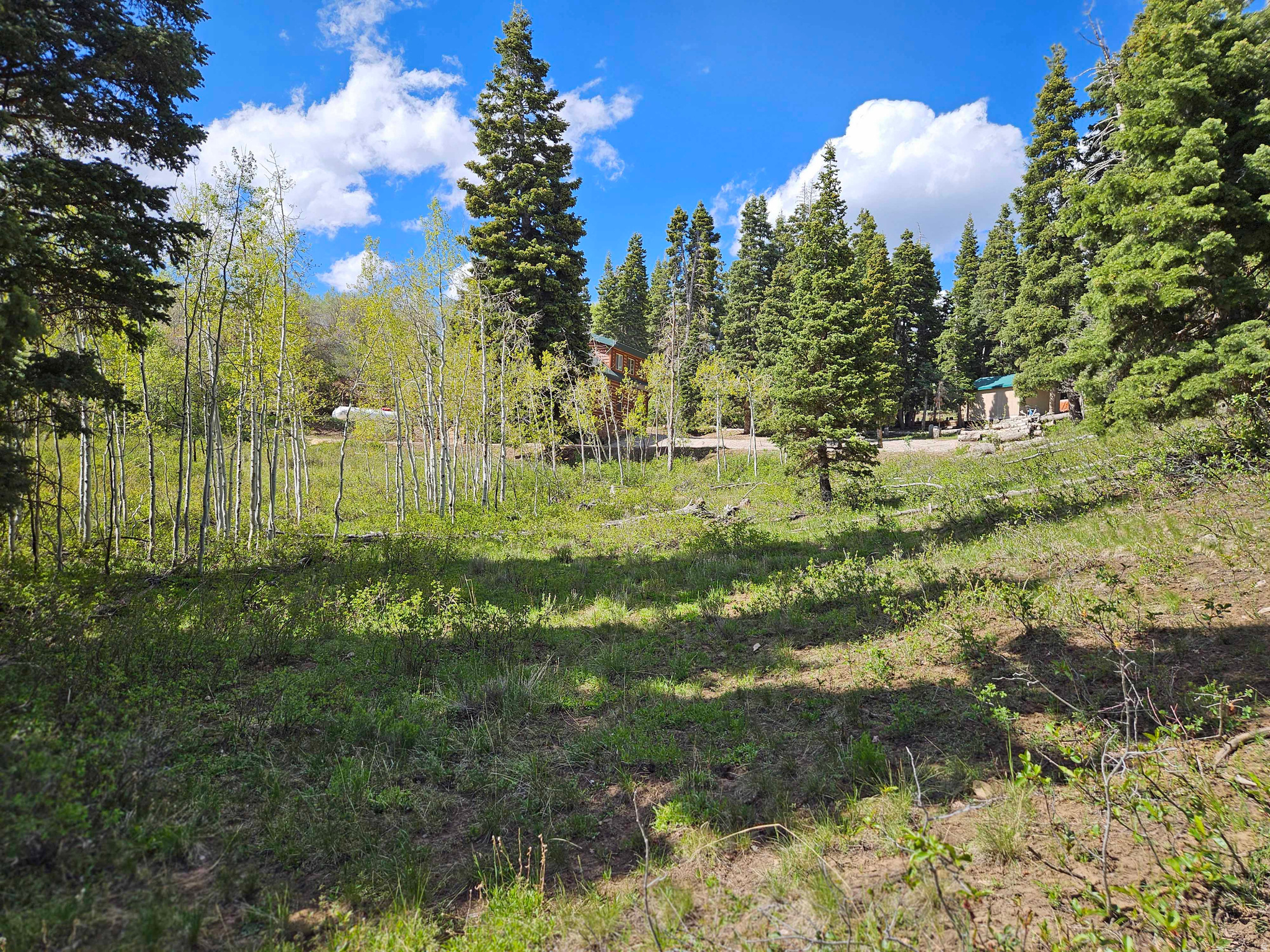 Property defined as Lot J50 in Skyline Mountain Resort. This property is located in the upper area of the subdivision in a area of very nice large pine & quaking aspen trees. Property owners have access to a golf course, swimming pool, tennis courts, pavilion and cabins that can be rented. Power is available, but not connected and a water system is in place (Community well is a short distance away). Note that this property is located in a gated community - contact listing agent for access to the property.