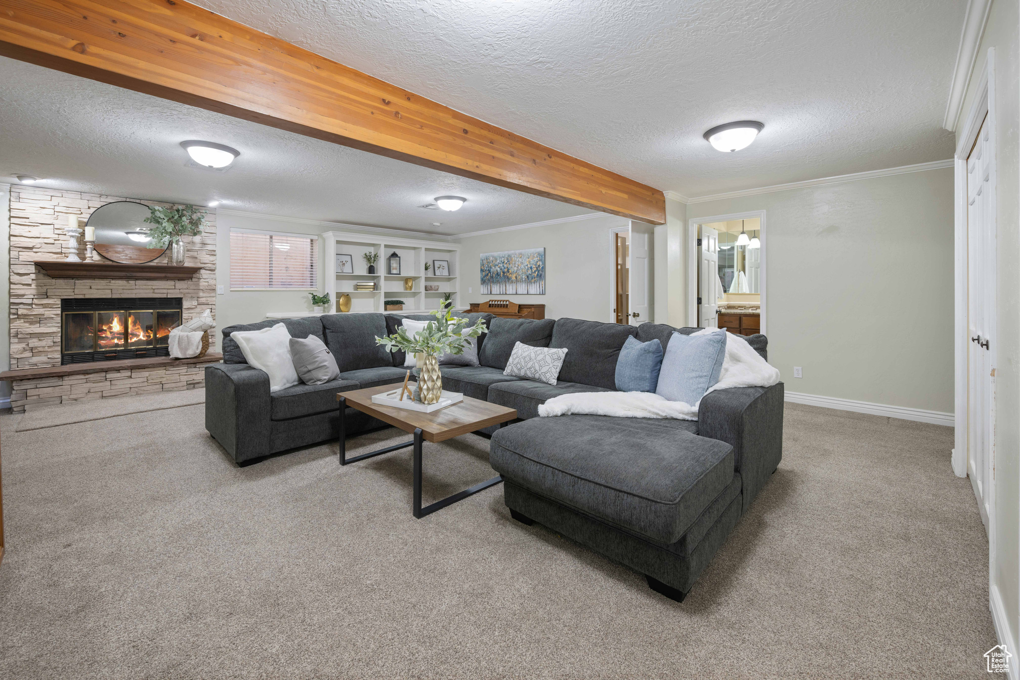 PARK AT GREEN VALLEY AMD - Residential