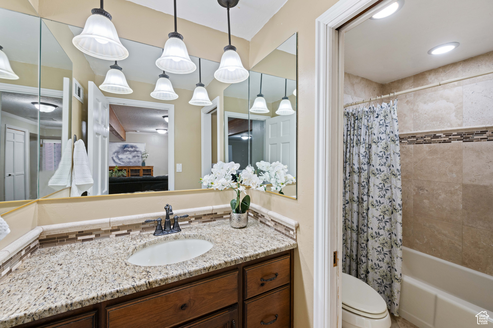 PARK AT GREEN VALLEY AMD - Residential