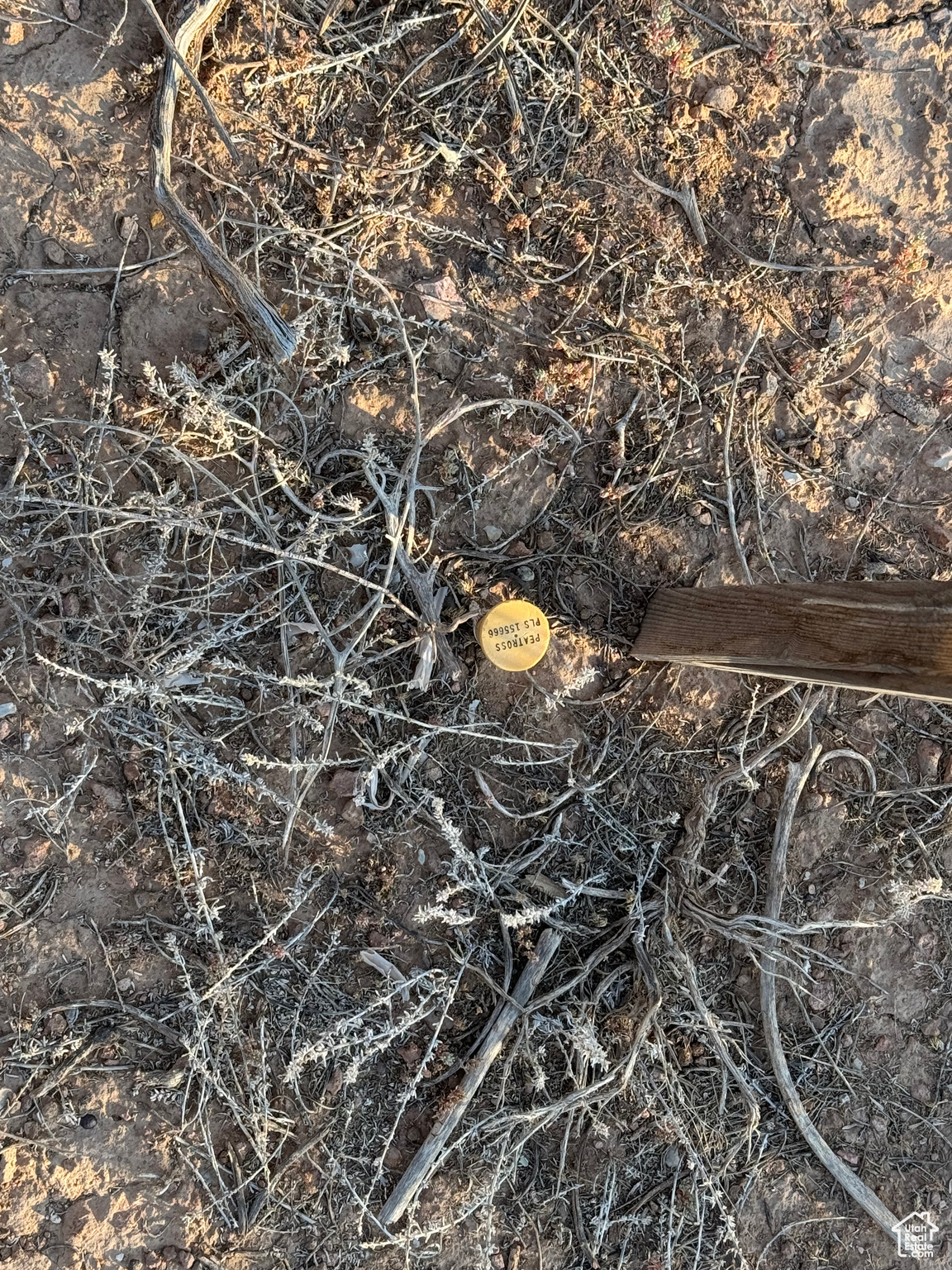 KNIGHTS RANCH MINOR - Land