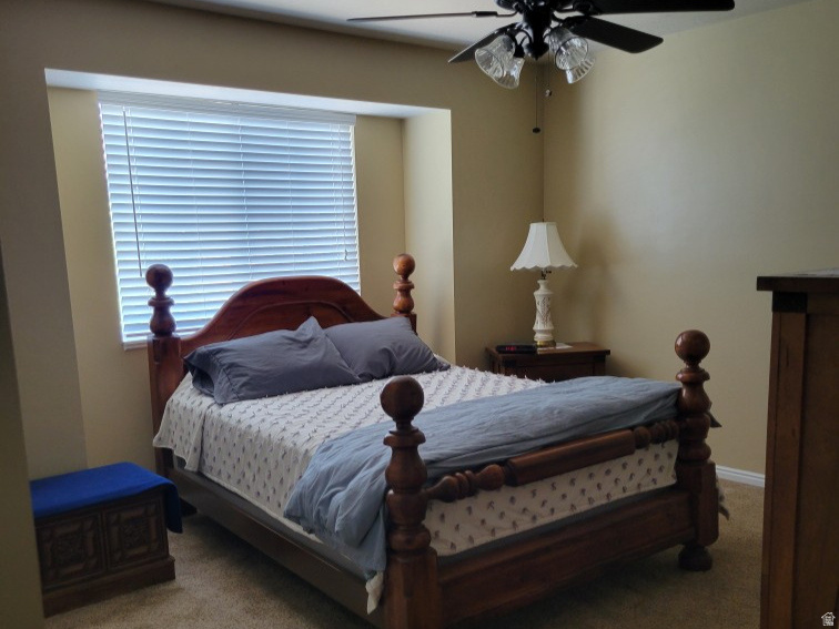 PINES - Residential