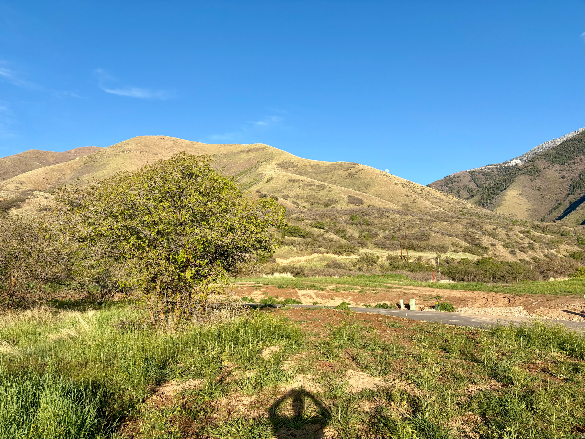 MAPLE HILLS ESTATES - Land