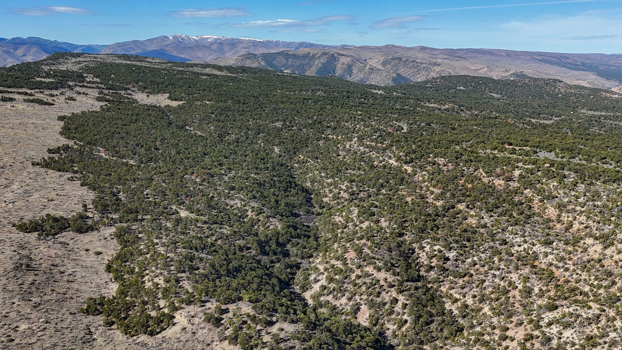 ELK MEADOWS - Land