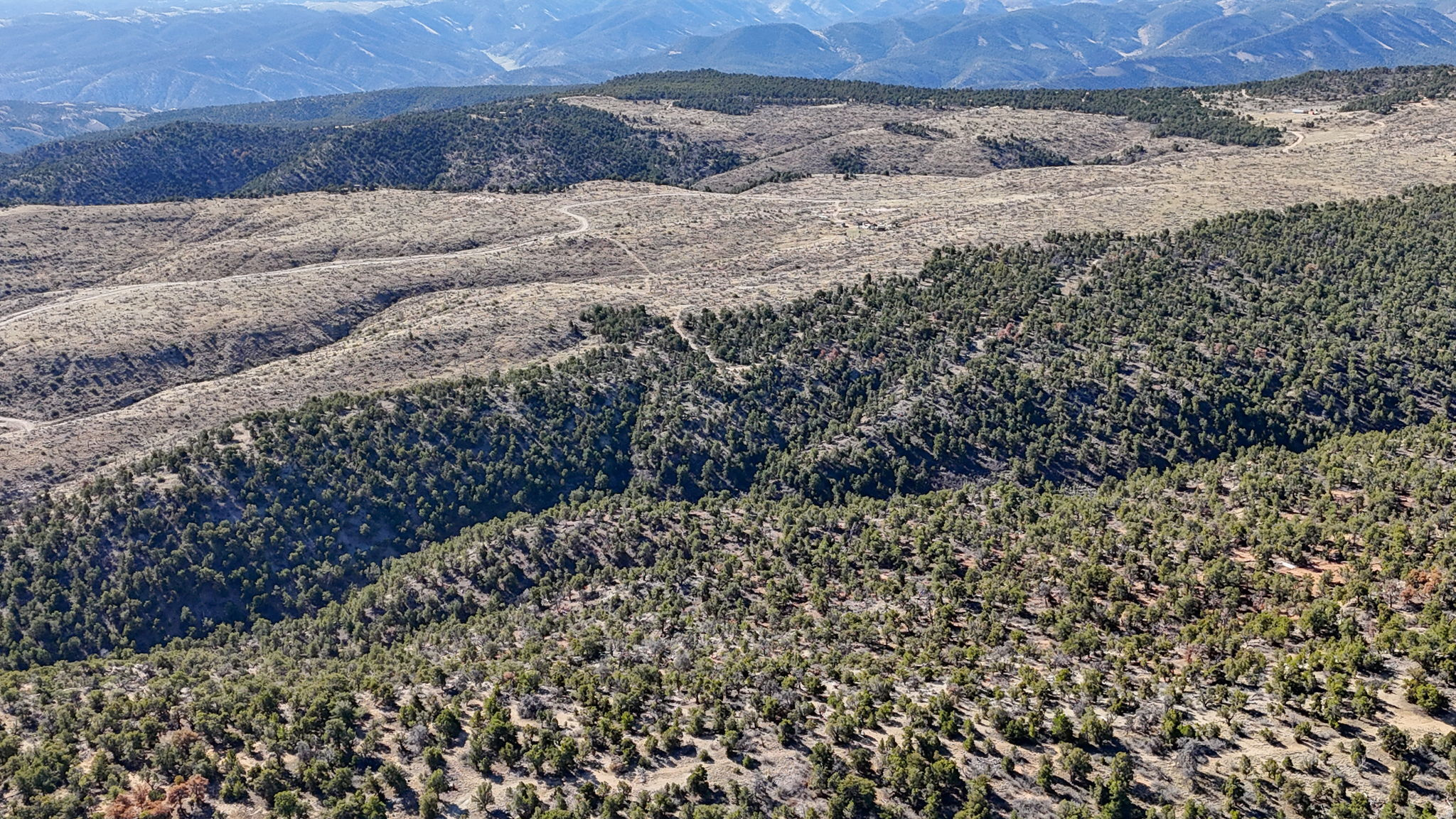 ELK MEADOWS - Land