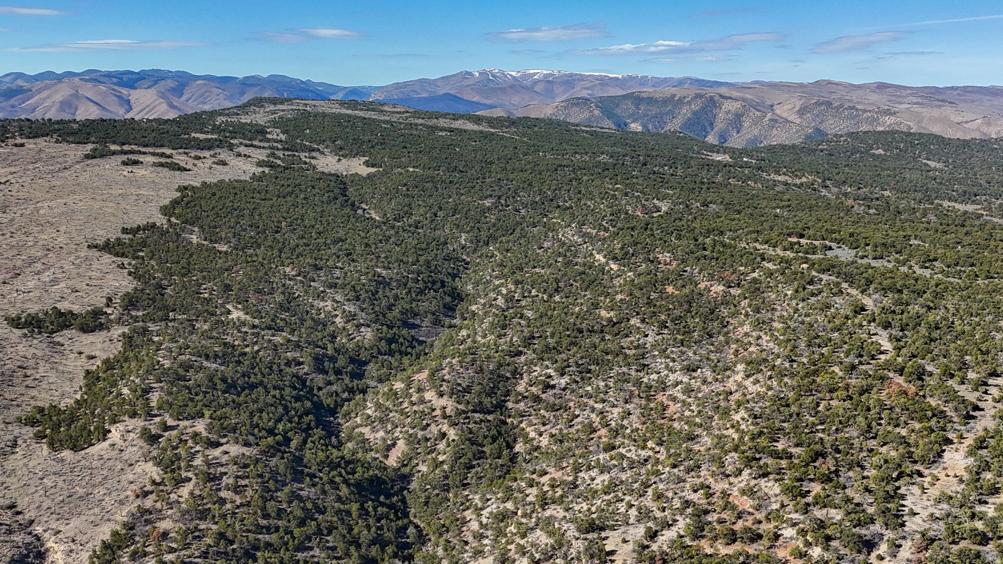ELK MEADOWS - Land