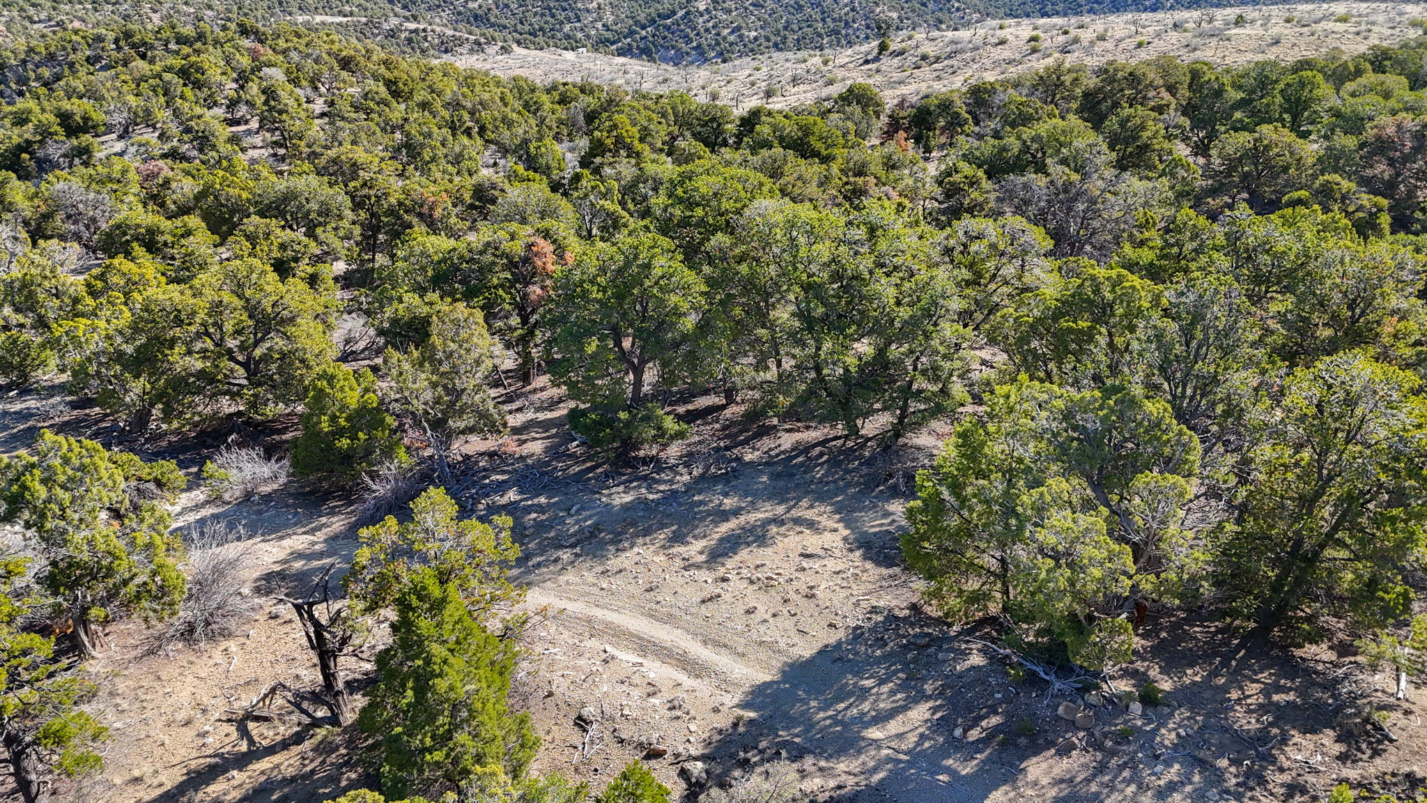 ELK MEADOWS - Land