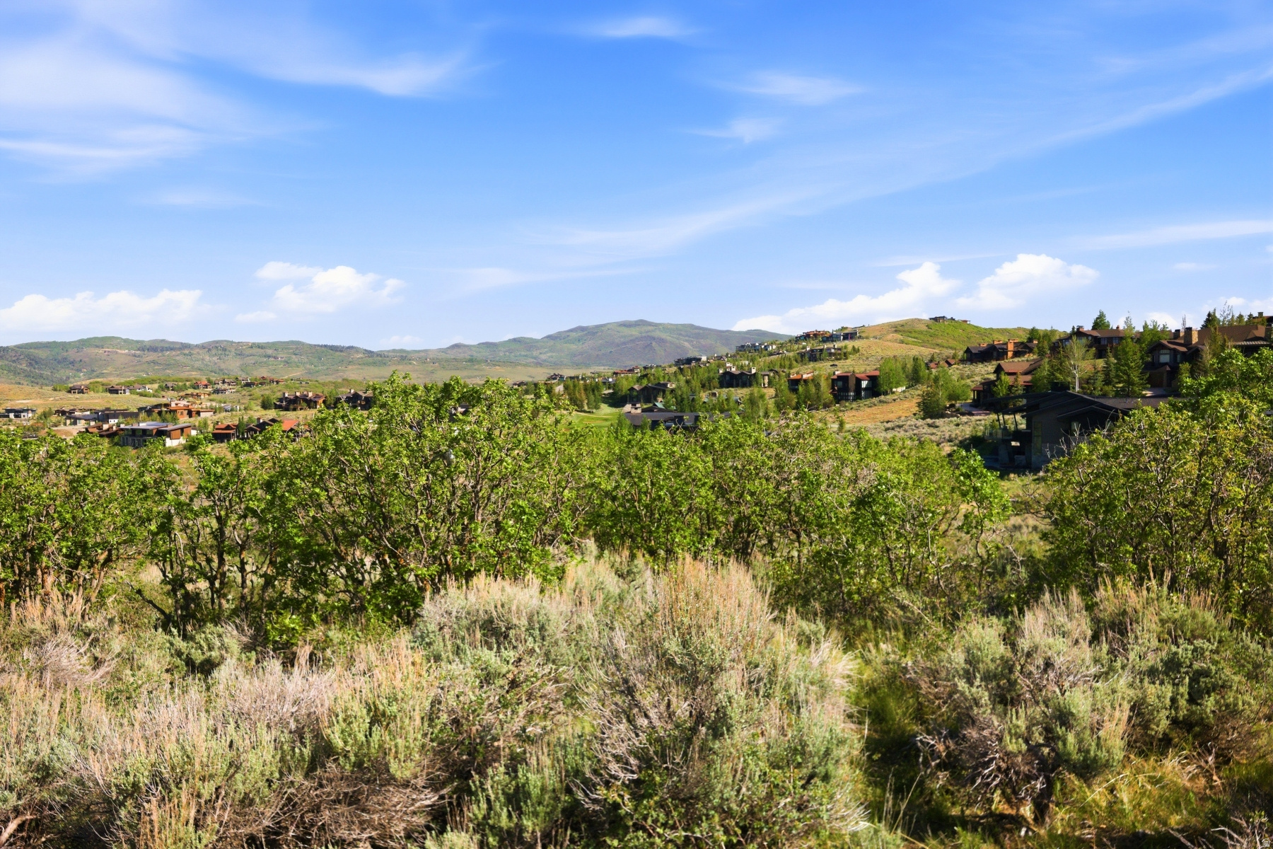 PINNACLE AT PROMONTORY - Land