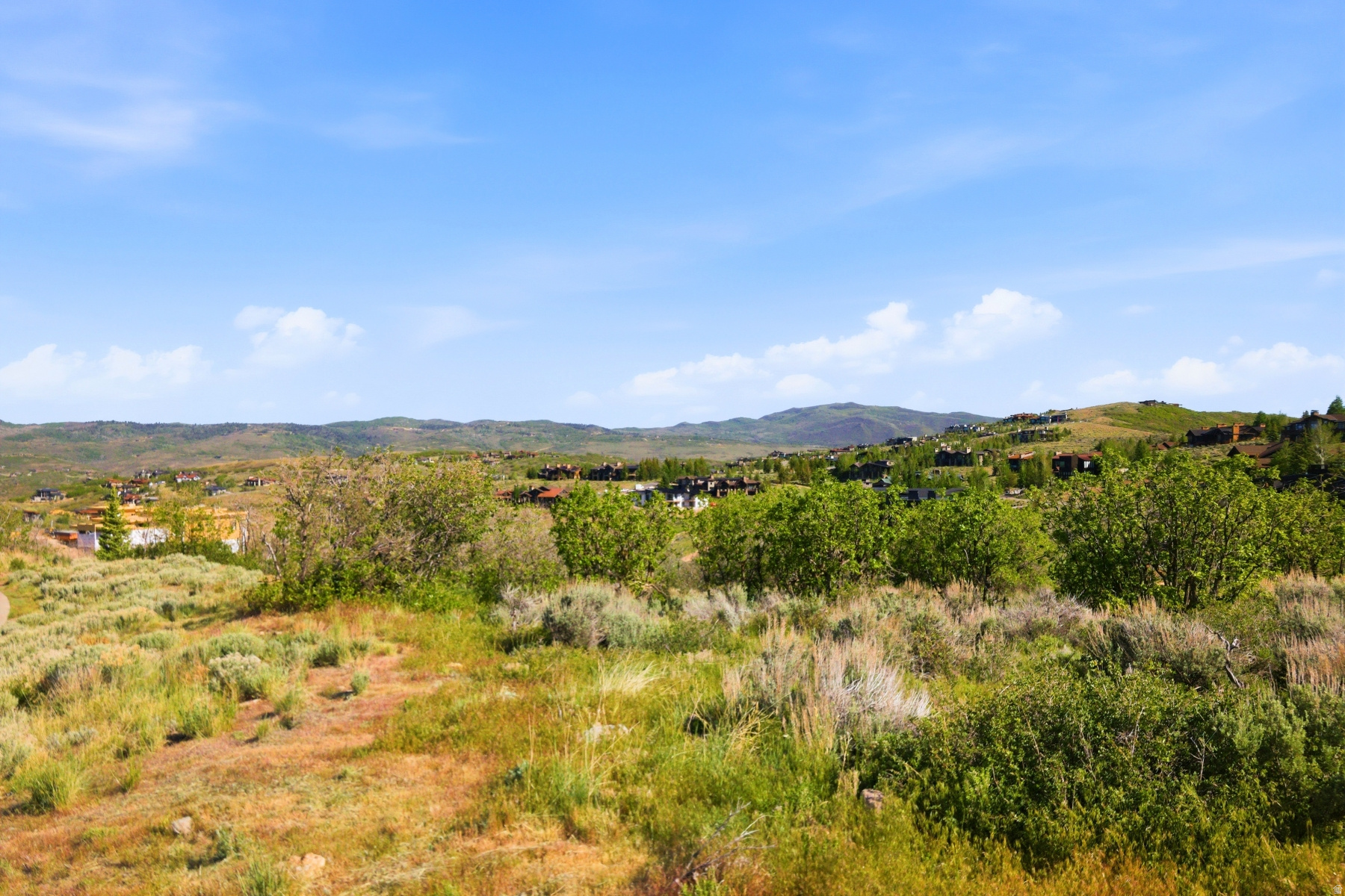 PINNACLE AT PROMONTORY - Land