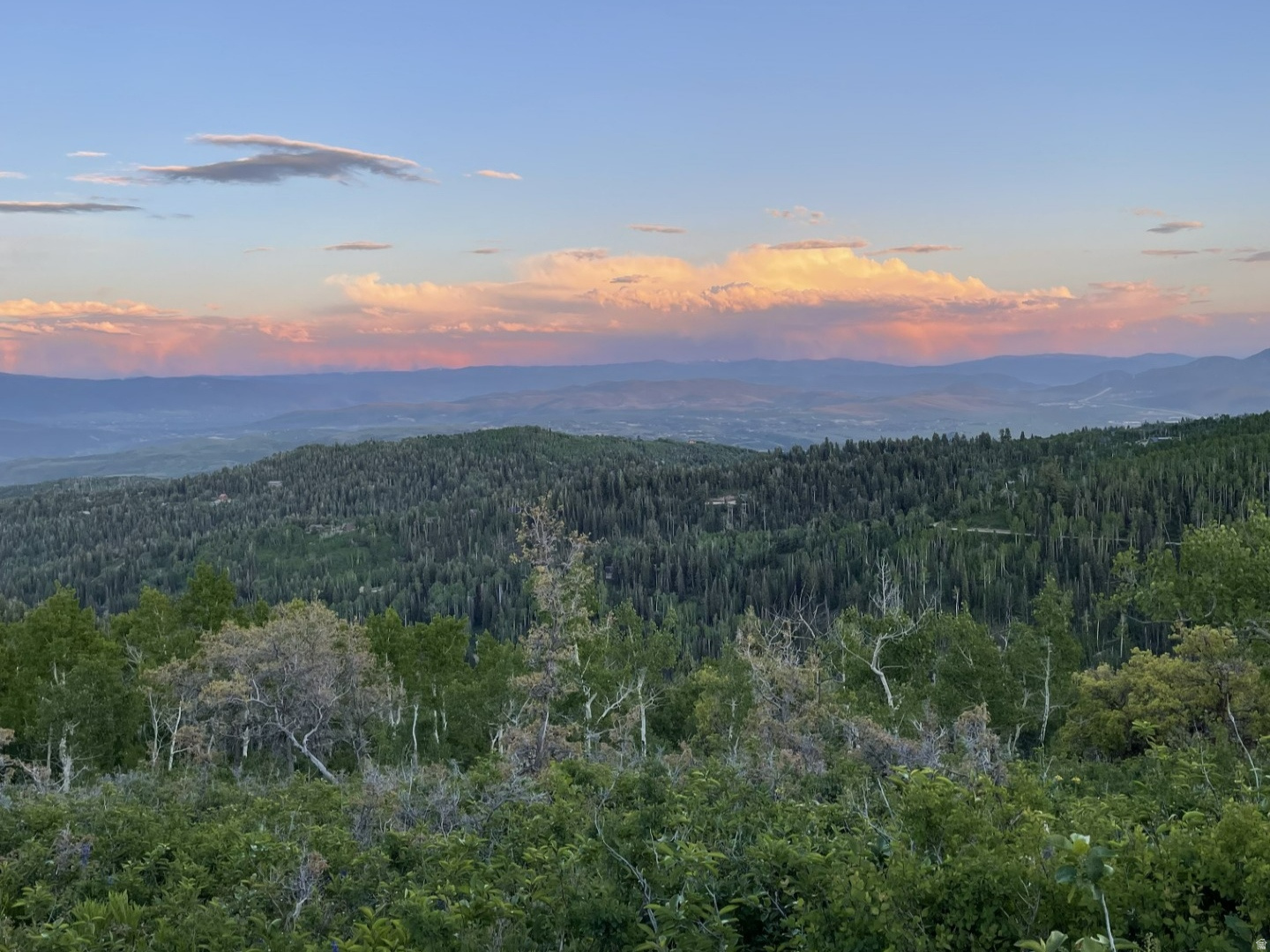 PINE MEADOWS - Land