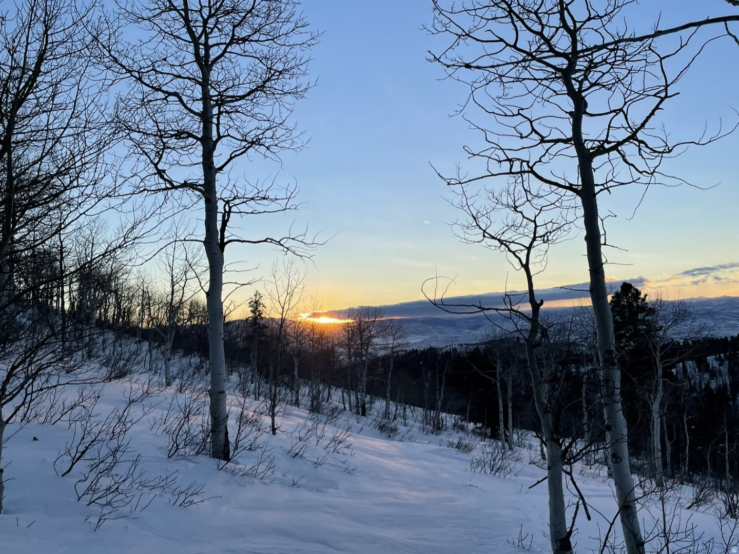 PINE MEADOWS - Land