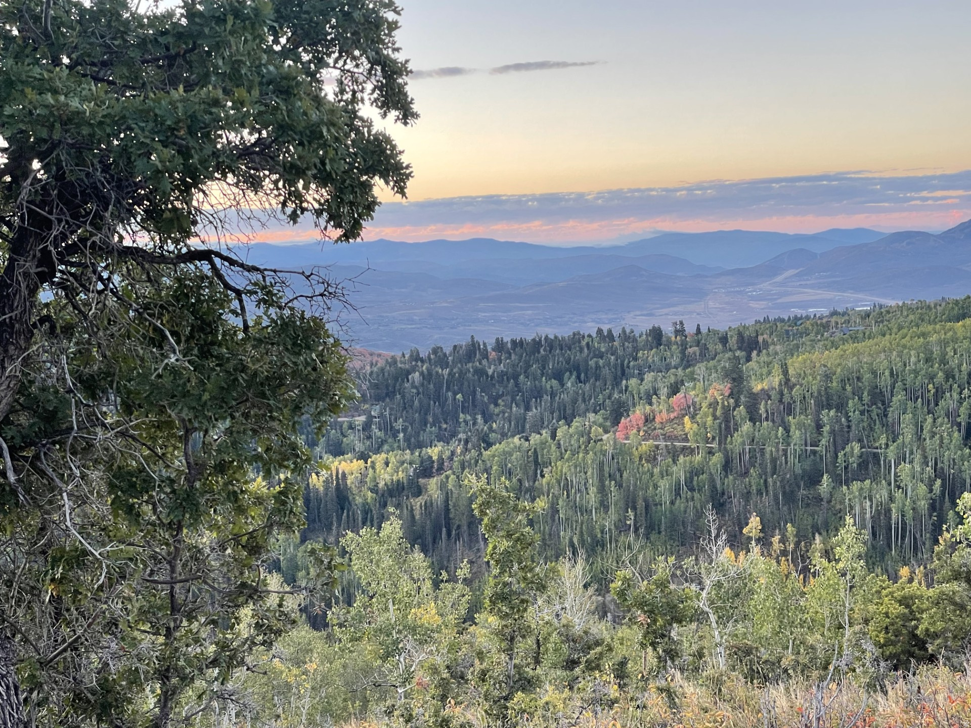PINE MEADOWS - Land