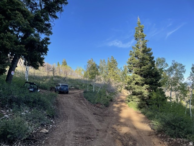 PINE MEADOWS - Land