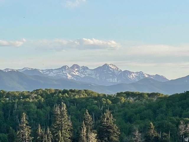 PINE MEADOWS - Land
