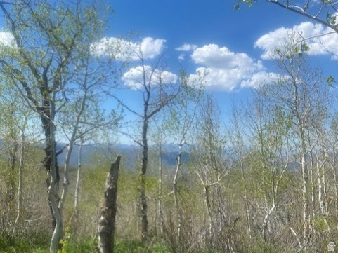 PINE MEADOWS - Land