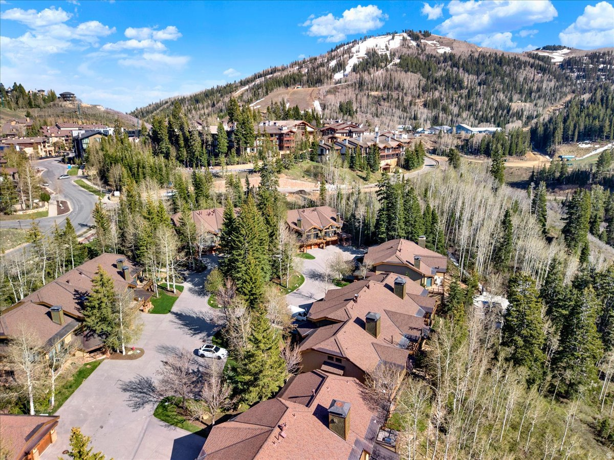 LITTLE BELLE - Residential